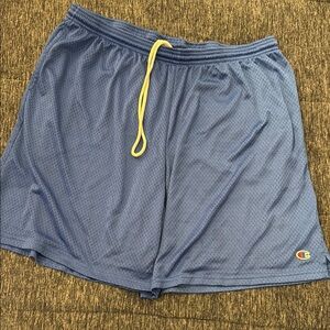 Champion Men's Blue Athletic Shorts